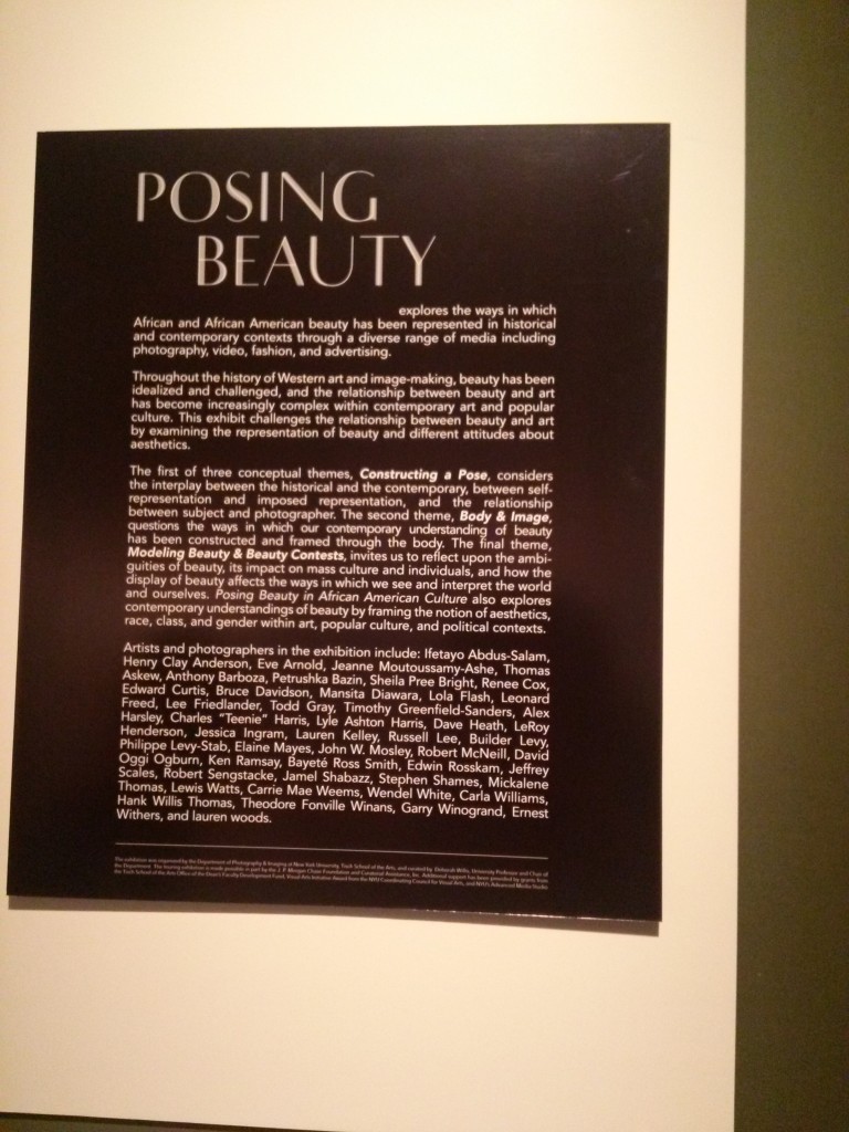More Info about Posing Beauty